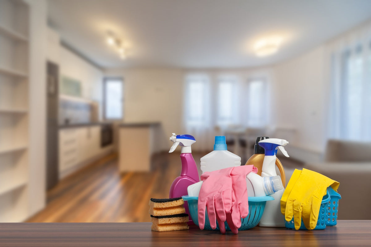 How to Choose a House Cleaning Service in Northern Colorado